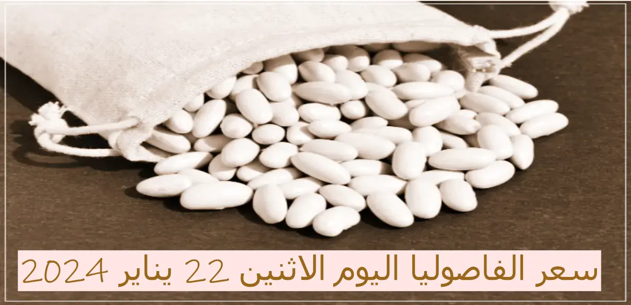ارتفاع سعر الفاصوليا البيضاء في مصر الأثنين 22 يناير2024 